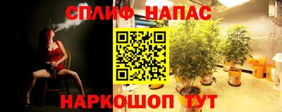 сатива Рыбинск
