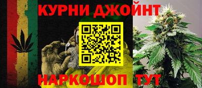 сатива Рыбинск