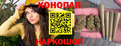 сатива Рыбинск