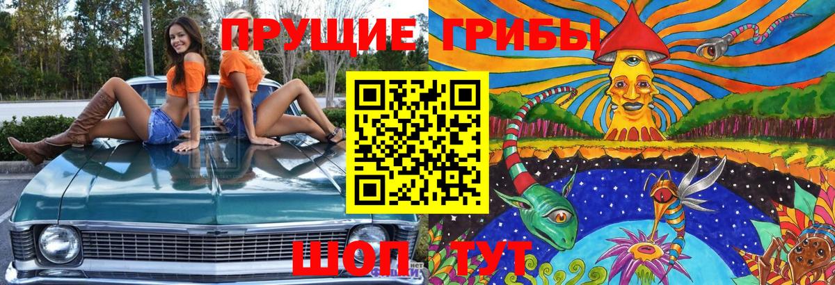 Псилоцибиновые грибы Psilocybine cubensis Симферополь