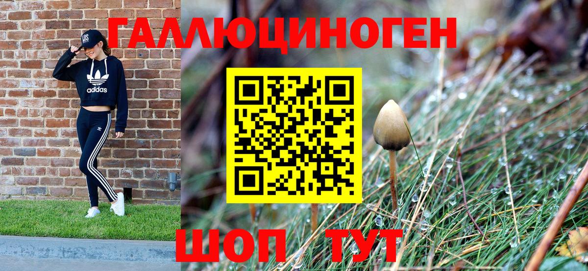Псилоцибиновые грибы MAGIC MUSHROOMS  Галлюциногенные грибы Psilocybe  Вход с VPN  Симферополь 